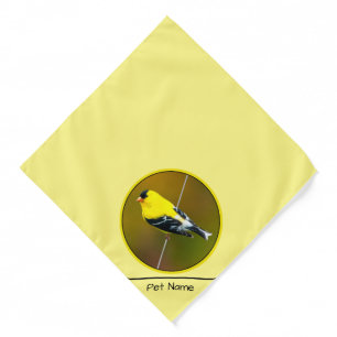 American Goldfinch Songbird Original Photograph Bandana