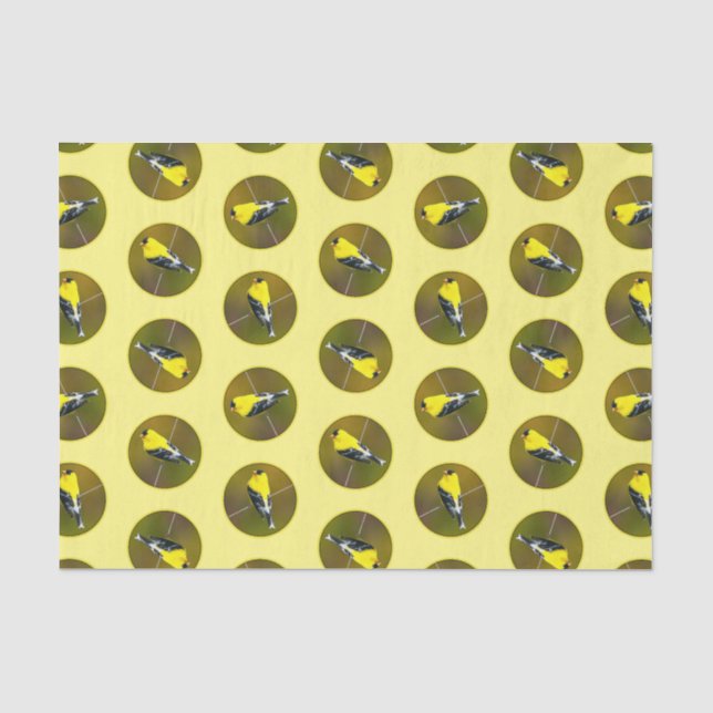 American Goldfinch Songbird Original Photograph Tissue Paper (Front)