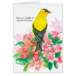 American Goldfinch Washington State Bird Blank Cards