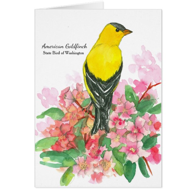 American Goldfinch Washington State Bird Blank Cards (Front)
