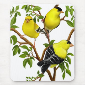 American Goldfinches in Vines Mousepad