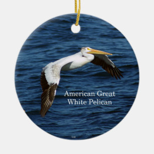American great White Pelican ornament