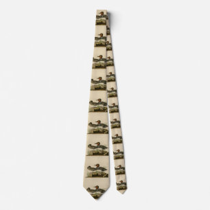 American Green winged Teal from Audubon's Bird Neck Tie