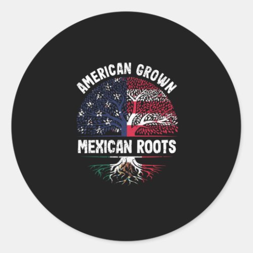 American Grown Mexican Roots USA Mexico Flag Classic Round Sticker