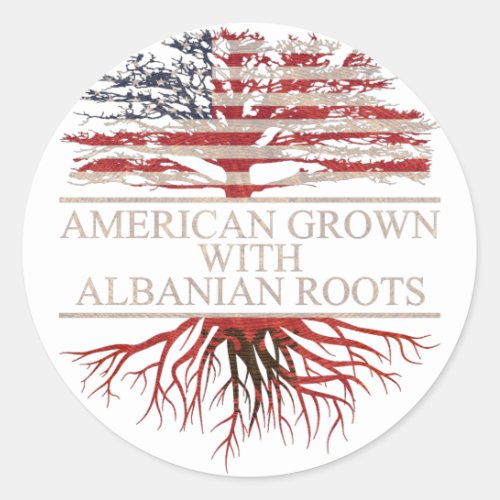 American grown with albanian roots classic round sticker