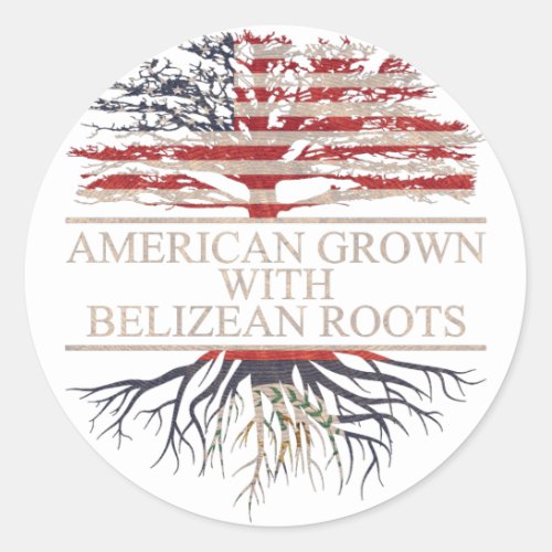 American grown with belizean roots classic round sticker