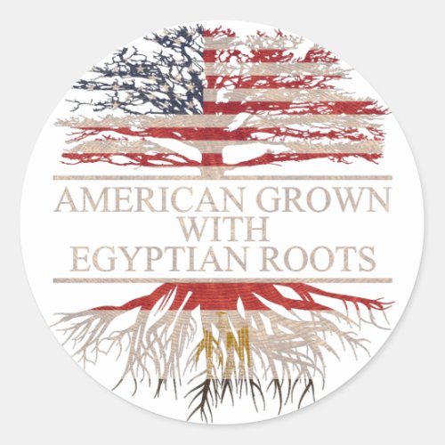 American grown with egyptian roots classic round sticker