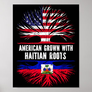 American Grown With Haitian Roots Usa Flag Haiti Poster