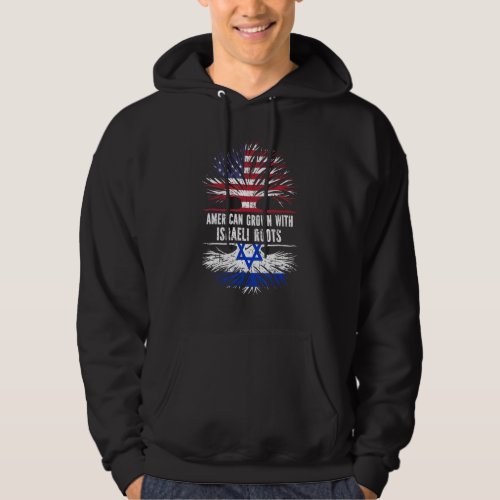 American Grown With Israeli Roots Usa Flag Israel Hoodie