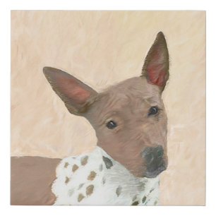 American Hairless Terrier Painting - Dog Art Faux Canvas Print