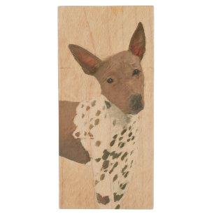American Hairless Terrier Painting - Dog Art Wood Flash Drive