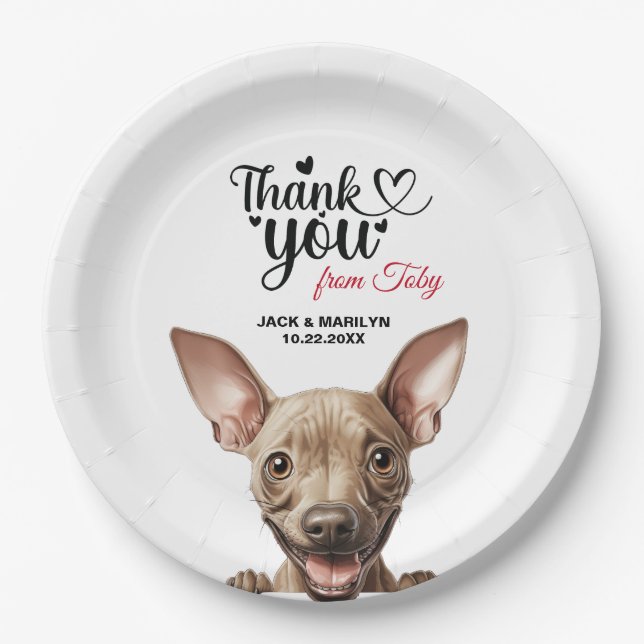American Hairless Terrier Paper Plates (Front)