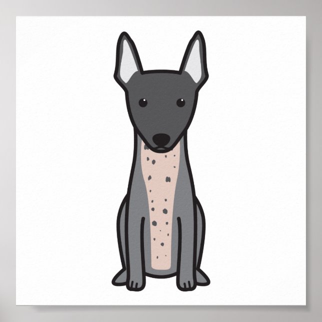 American Hairless Terrier Poster (Front)