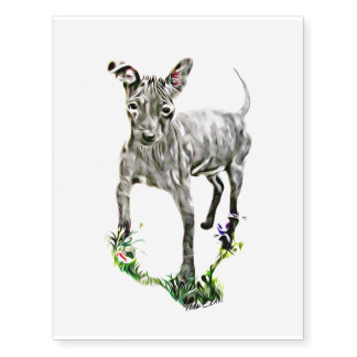 American Hairless Terrier Temporary Tattoos