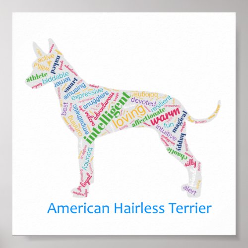 American Hairless Terrier Word Cloud Art Poster