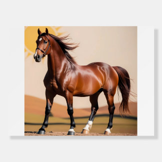 American horse foam board