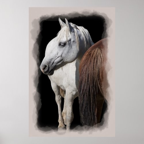 AMERICAN HORSES HEAD  TAIL POSTER