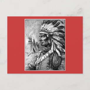 American Indian Chief Postcard