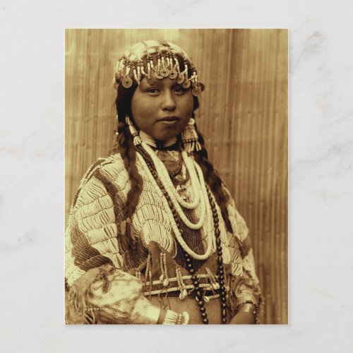 American Indian Collection Postcard