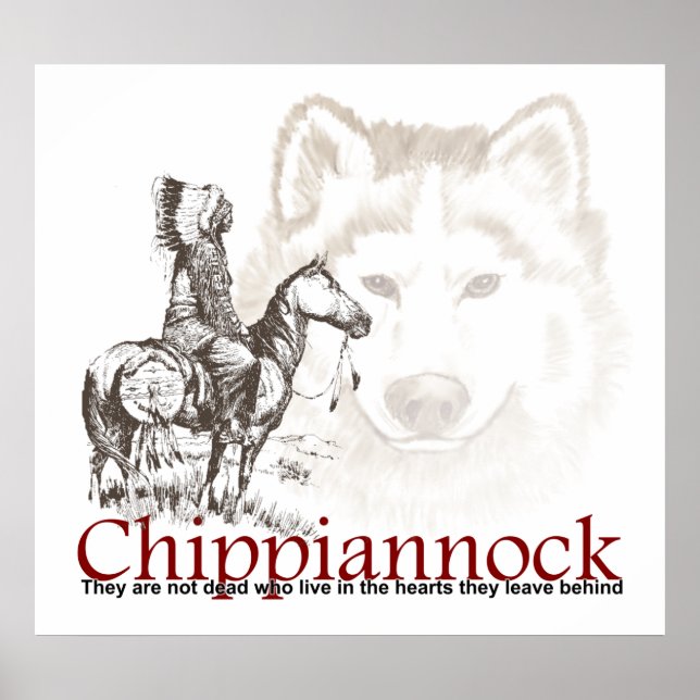 American Indian Poster They are not dead (Front)