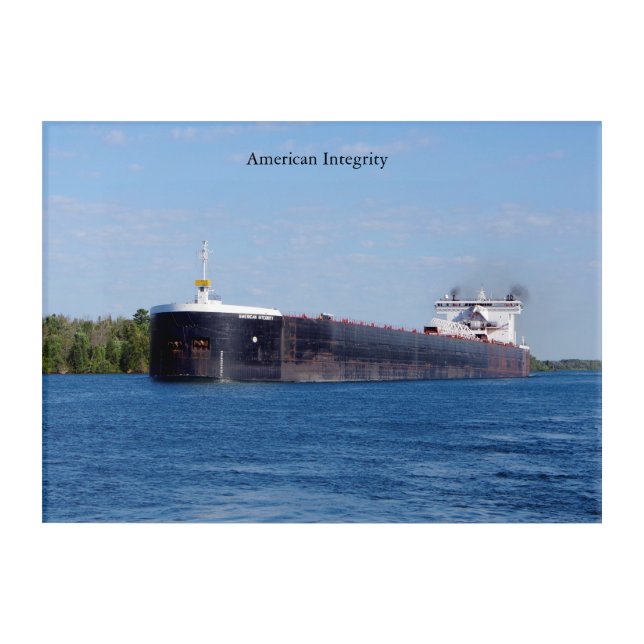 American Integrity acrylic wall art (Front)