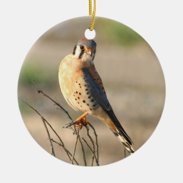 American Kestel Ceramic Ornament (Front)