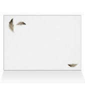 American Kestrel (Inside Horizontal (Top))