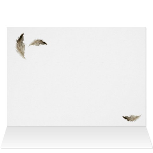 American Kestrel (Inside Horizontal (Top))