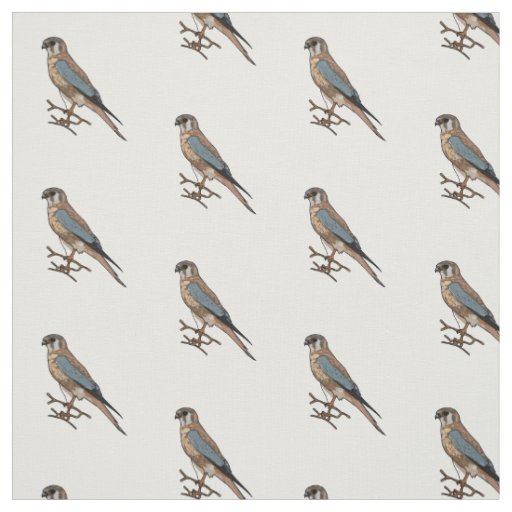 American kestrel bird cartoon illustration  fabric