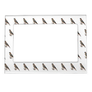 American kestrel bird cartoon illustration magnetic frame