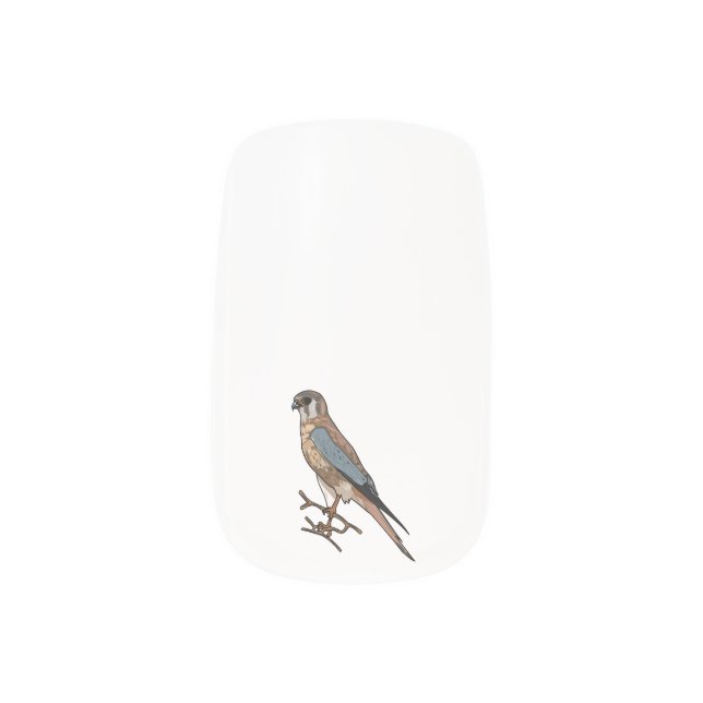 American kestrel bird cartoon illustration  minx nail art (Left Thumb)