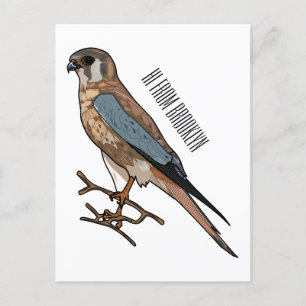 American kestrel bird cartoon illustration postcard