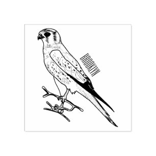 American kestrel bird cartoon illustration rubber stamp