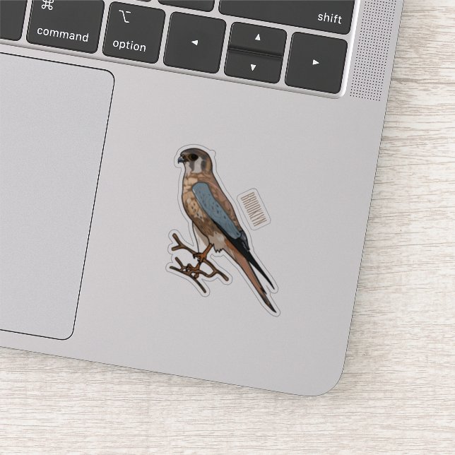 American kestrel bird cartoon illustration  sticker (Detail)