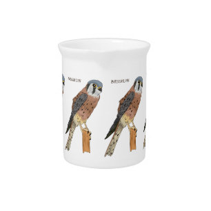 American Kestrel bird illustration Beverage Pitcher