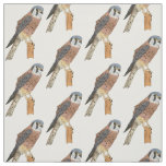 American Kestrel bird illustration  Fabric