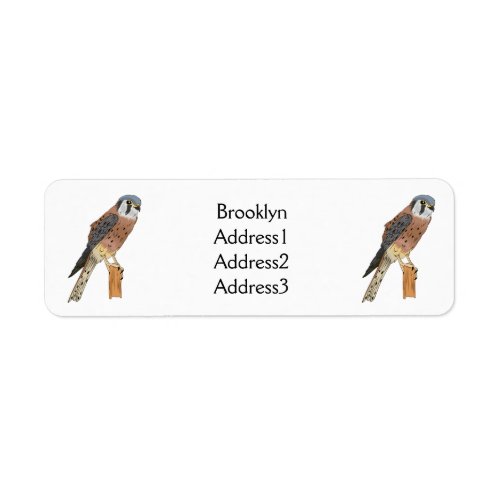American Kestrel bird illustration  Label