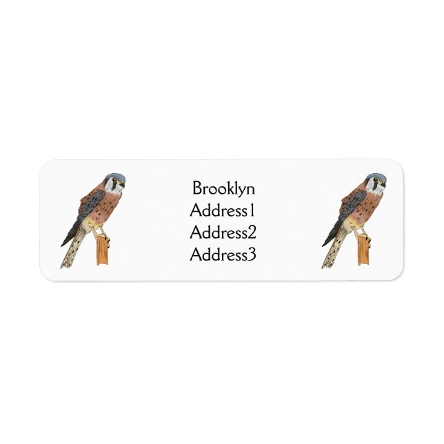 American Kestrel bird illustration  Label (Front)