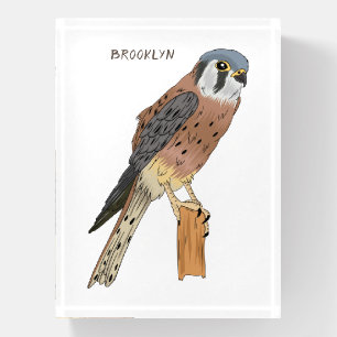 American Kestrel bird illustration Paperweight