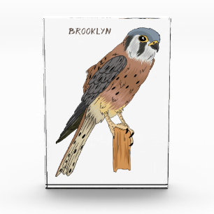American Kestrel bird illustration Photo Block