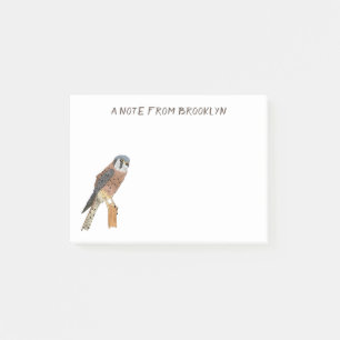American Kestrel bird illustration Post-it Notes