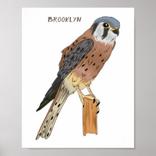 American Kestrel bird illustration Poster