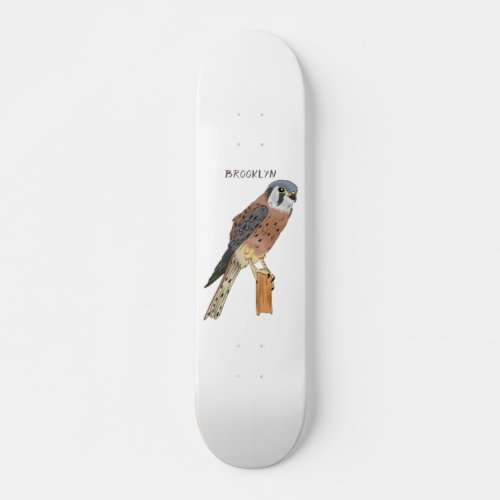 American Kestrel bird illustration  Skateboard