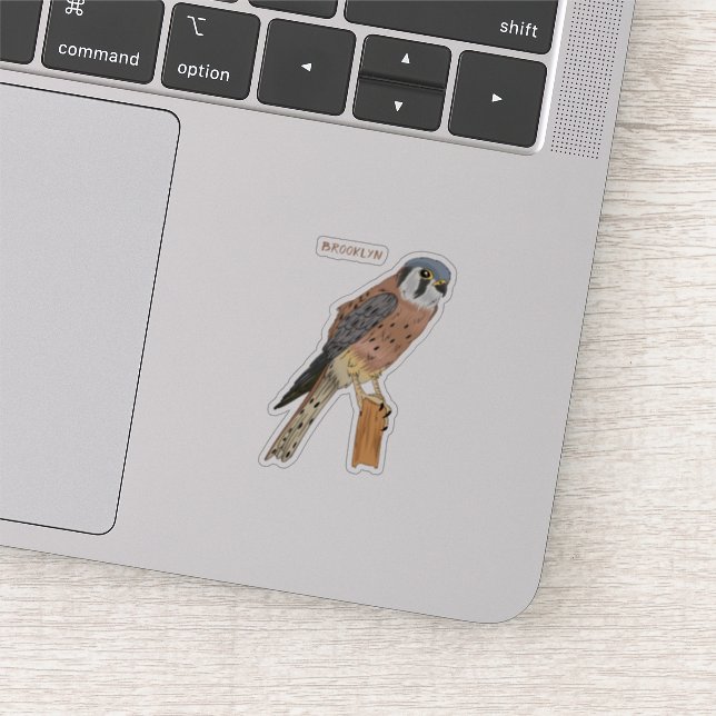 American Kestrel bird illustration  Sticker (Detail)