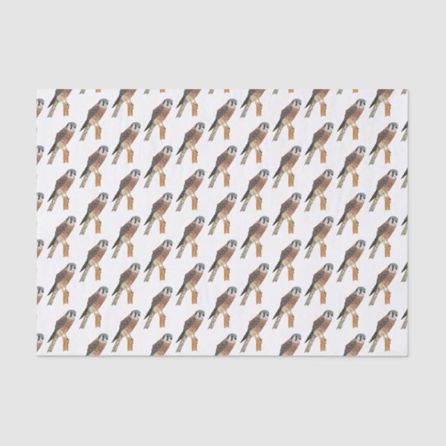 American Kestrel bird illustration Tissue Paper (Front)