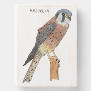 American Kestrel bird illustration Wooden Box Sign