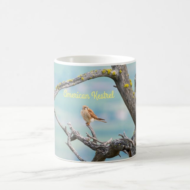American Kestrel Coffee Mug (Center)