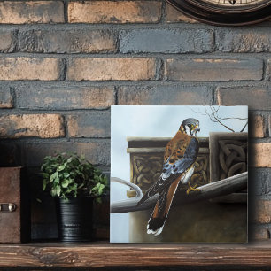 American Kestrel Falcon Celtic Knotwork Wildlife Ceramic Tile