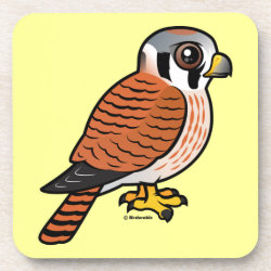 American Kestrel female Beverage Coaster