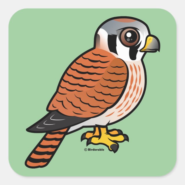 American Kestrel female Square Sticker (Front)